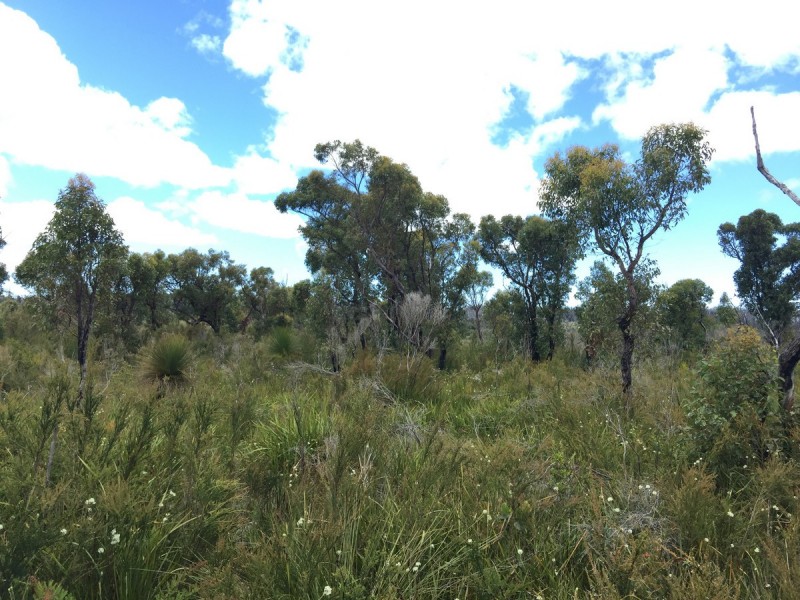 Lot 2 Double Bridges Road (Meerup), Northcliffe WA 6262