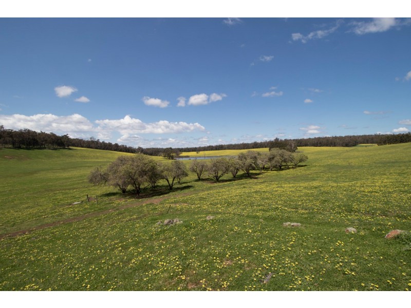 ‘Glenfield’ (Perup), Manjimup WA 6258
