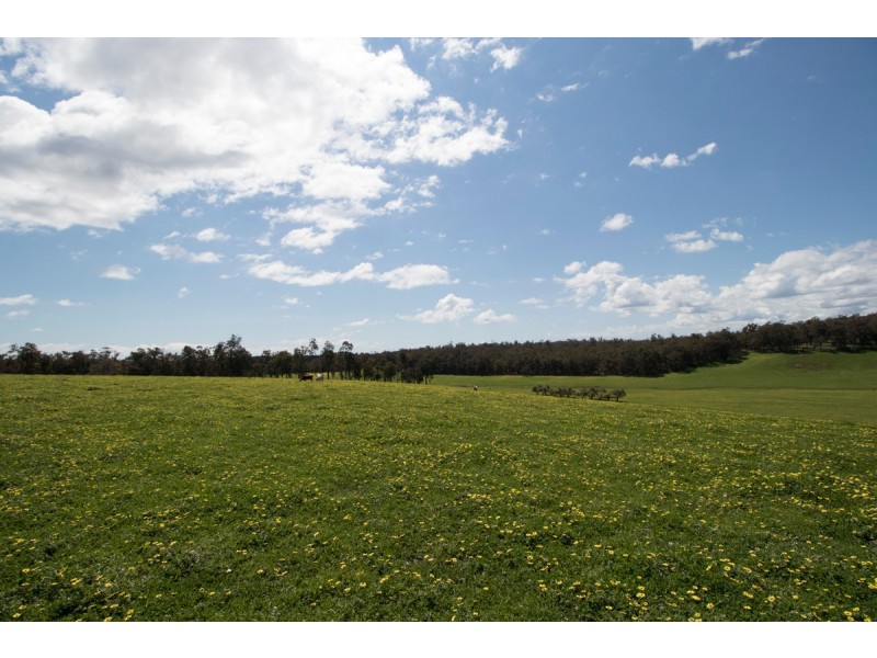 ‘Glenfield’ (Perup), Manjimup WA 6258