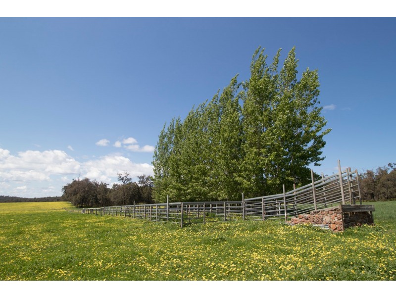 ‘Glenfield’ (Perup), Manjimup WA 6258