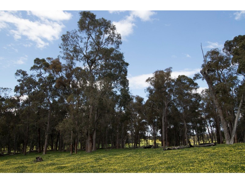 ‘Glenfield’ (Perup), Manjimup WA 6258
