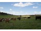 ‘Glenfield’ (Perup), Manjimup WA 6258