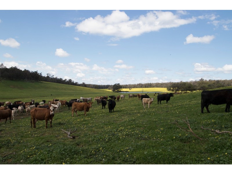 ‘Glenfield’ (Perup), Manjimup WA 6258