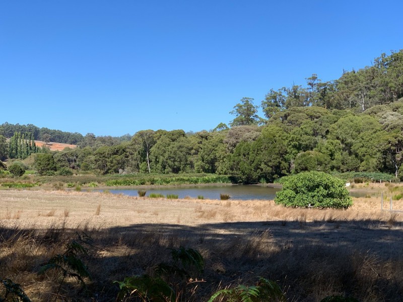 Lot 9801 Hairpin Road (Collins), Pemberton WA 6260