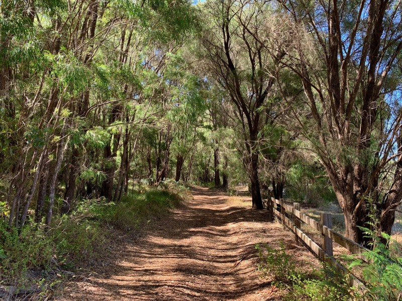 Lot 9801 Hairpin Road (Collins), Pemberton WA 6260