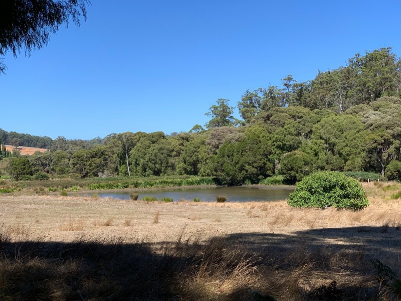 Lot 9801 Hairpin Road (Collins), Pemberton WA 6260