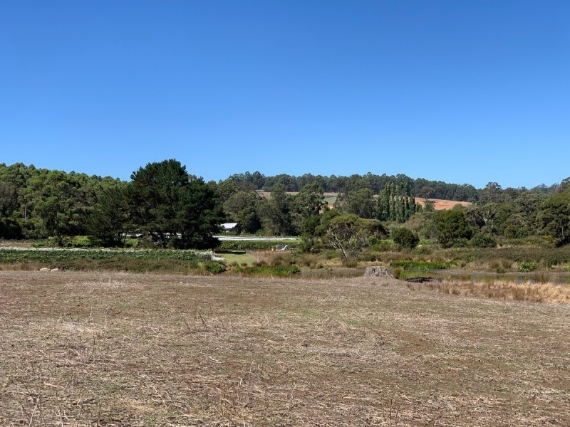 Lot 9801 Hairpin Road (Collins), Pemberton WA 6260