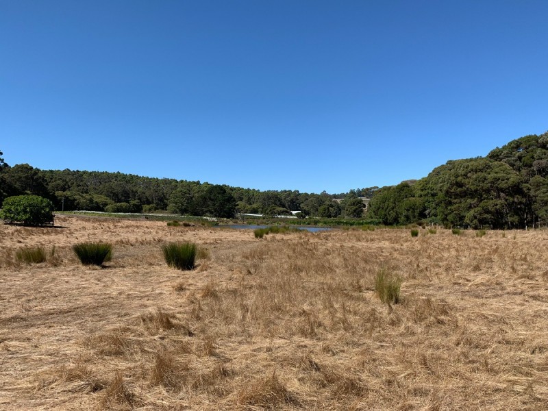 Lot 9801 Hairpin Road (Collins), Pemberton WA 6260