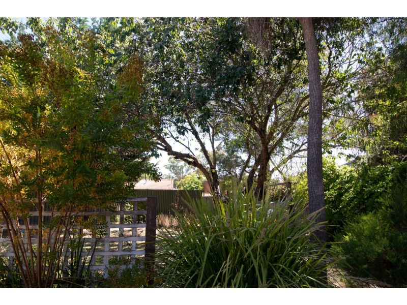 50 Mount Street, Manjimup WA 6258
