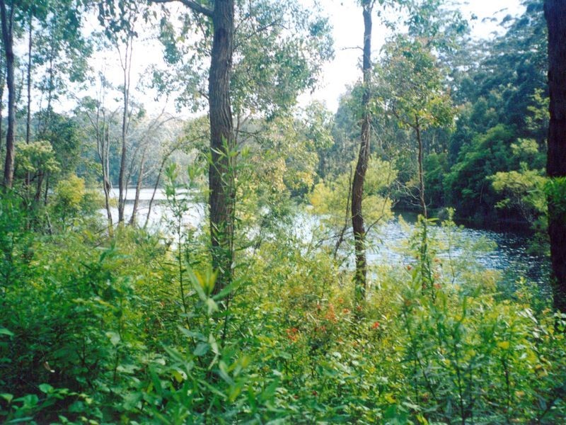 66 & 67 Rainbow Trout Retreat, Quinninup WA 6258