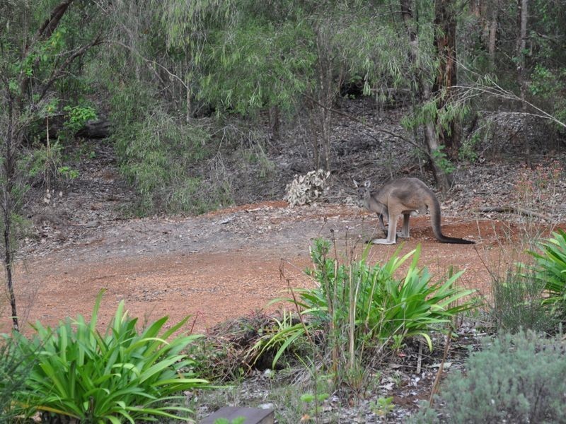 66 & 67 Rainbow Trout Retreat, Quinninup WA 6258
