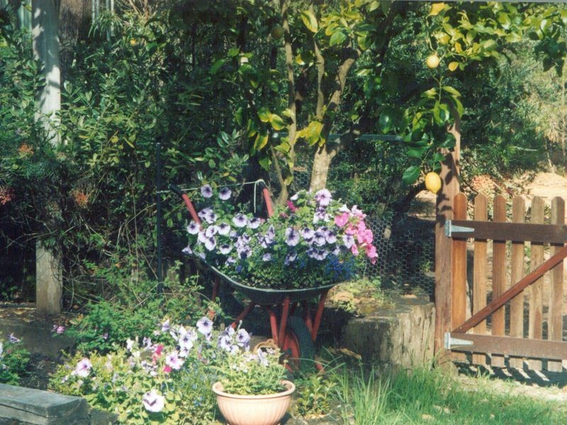 66 & 67 Rainbow Trout Retreat, Quinninup WA 6258