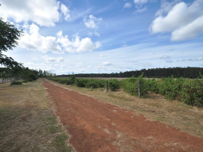 11344 Packer Road, Pemberton WA 6260