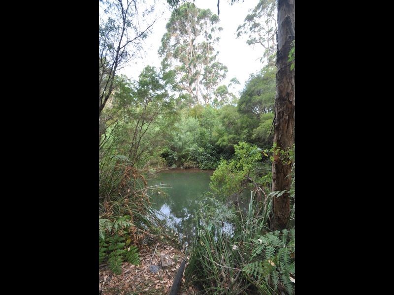 11344 Packer Road, Pemberton WA 6260