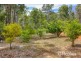 11 Wellburn Place, Pemberton WA 6260