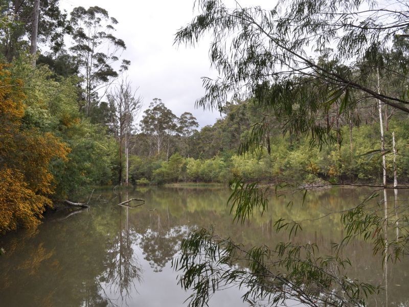 Lot 16 Hopgarden Road, Pemberton WA 6260