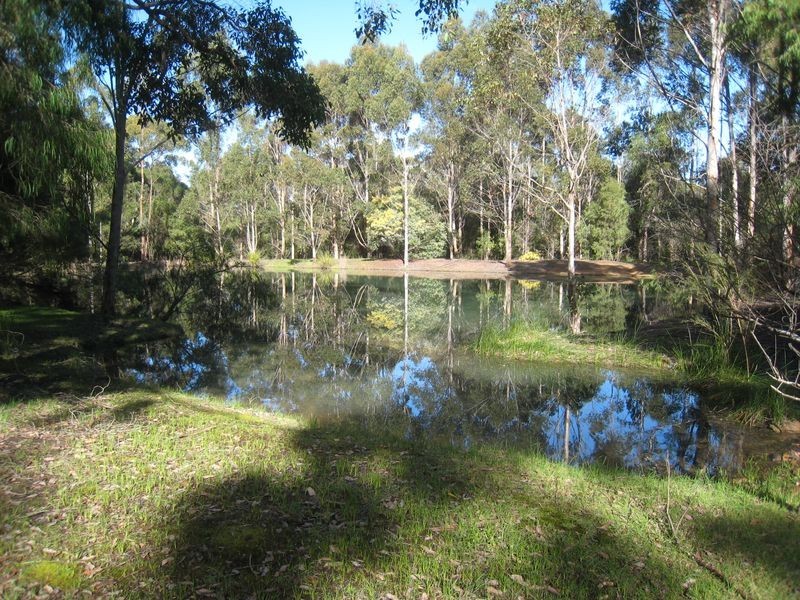 Lot 16 Hopgarden Road, Pemberton WA 6260