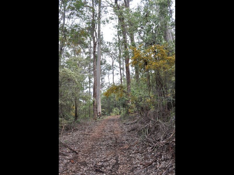 Lot 16 Hopgarden Road, Pemberton WA 6260
