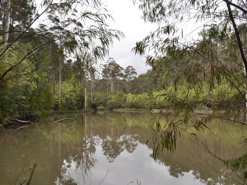 Lot 16 Hopgarden Road, Pemberton WA 6260