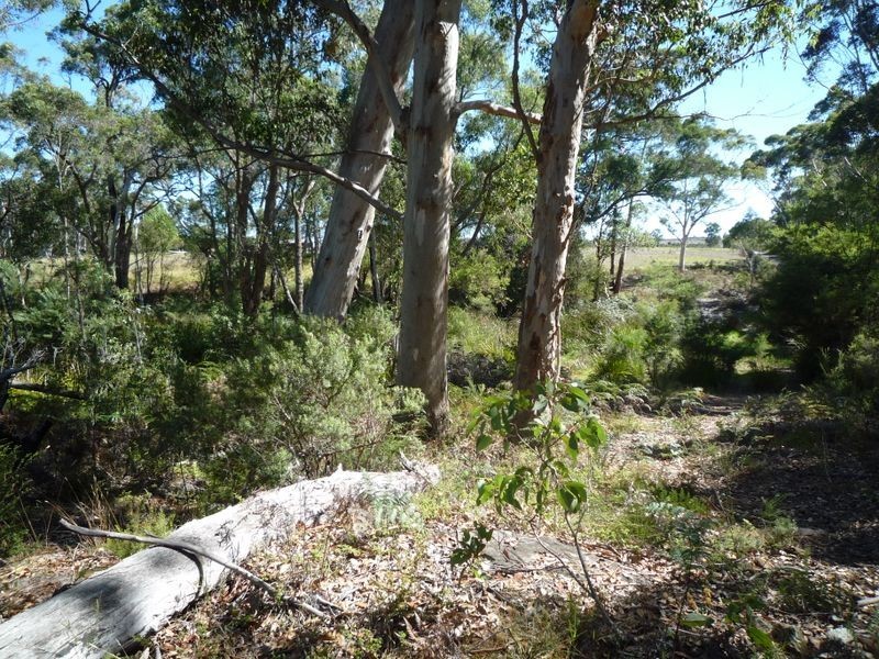 Proposed L Richardson Road, Northcliffe WA 6262