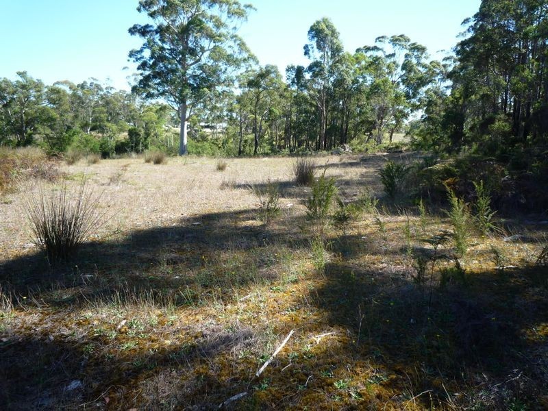 Proposed L Richardson Road, Northcliffe WA 6262