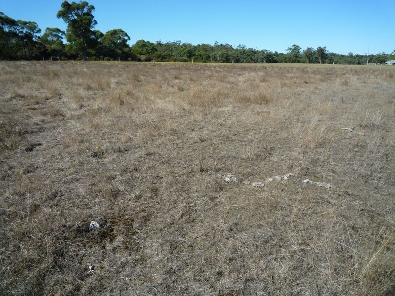 Proposed L Richardson Road, Northcliffe WA 6262