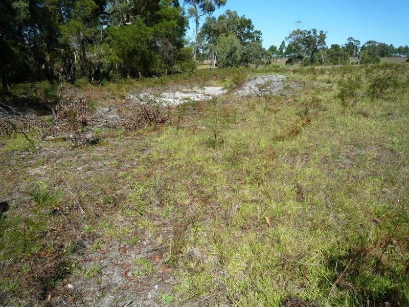 Proposed L Richardson Road, Northcliffe WA 6262