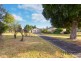 31 Graphite Road, Manjimup WA 6258