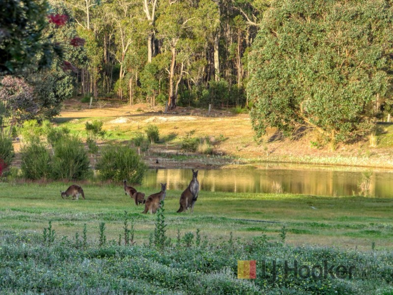 84 Song Place (Perup), Manjimup WA 6258