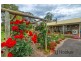 38 Robinson Street, Pemberton WA 6260
