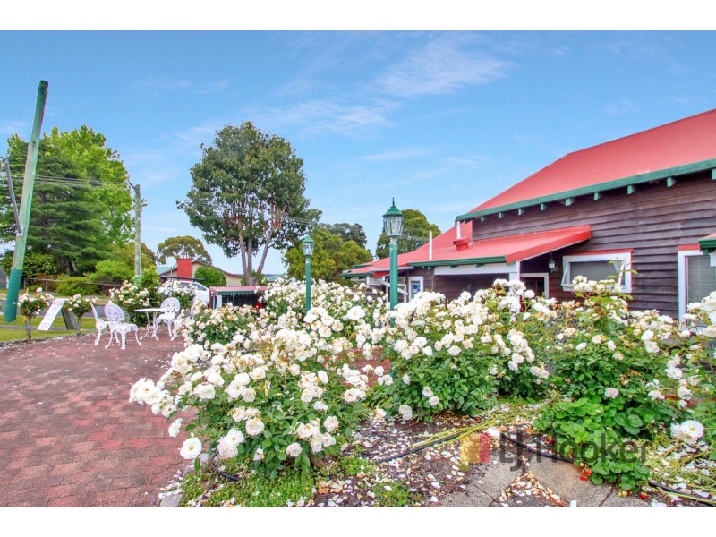 19 Guppy Street, Pemberton WA 6260