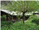 6 Dickinson Road, Pemberton WA 6260