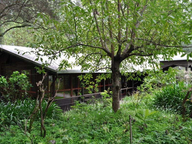 6 Dickinson Road, Pemberton WA 6260