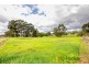 10 Wiseman Street, Manjimup WA 6258