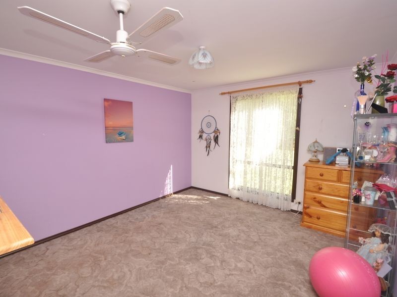 114 Browns Road, Pemberton WA 6260