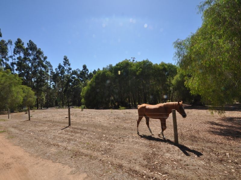 114 Browns Road, Pemberton WA 6260