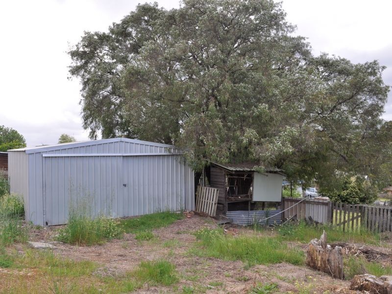 28 Guppy Street, Pemberton WA 6260