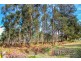 Lot 39 Woylie Road, Northcliffe WA 6262