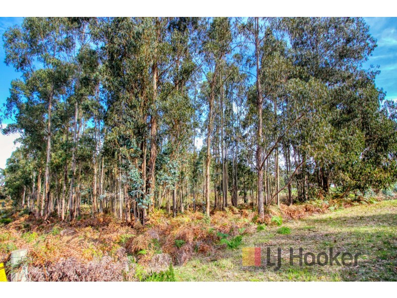 Lot 39 Woylie Road, Northcliffe WA 6262