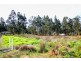 Lot 39 Woylie Road, Northcliffe WA 6262