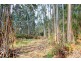 Lot 39 Woylie Road, Northcliffe WA 6262
