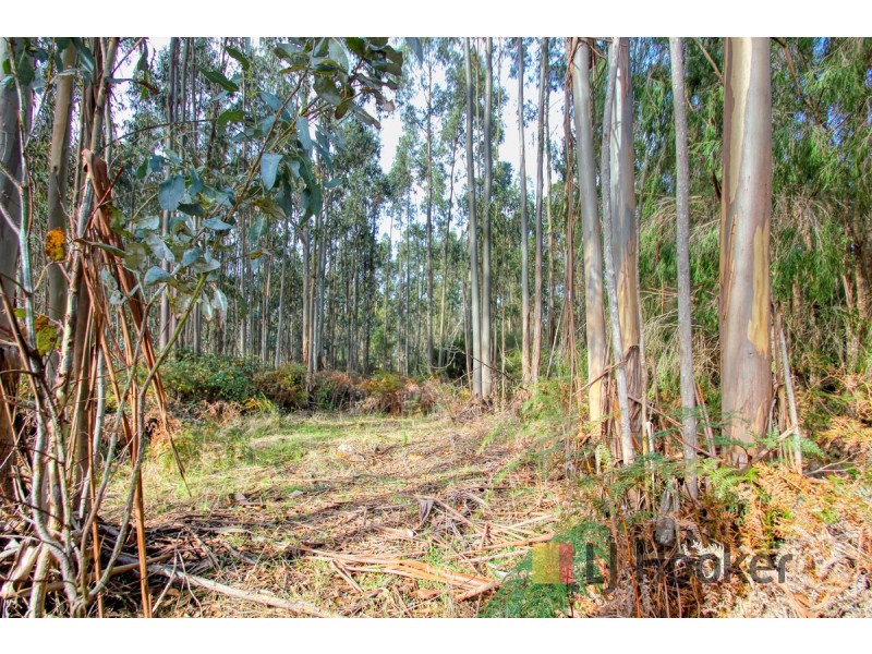 Lot 39 Woylie Road, Northcliffe WA 6262