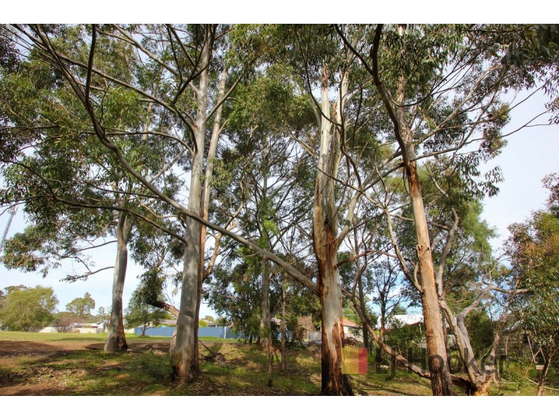 3 Raspi Place, Pemberton WA 6260