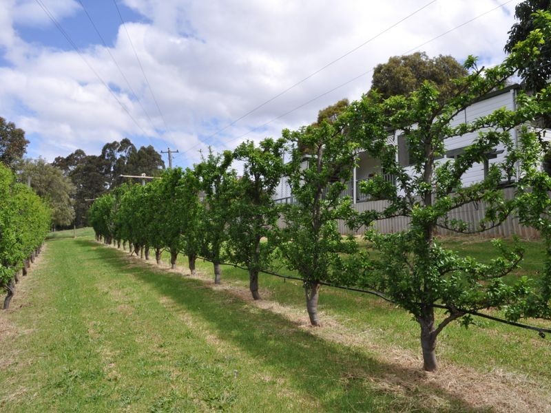 Lot 3 Piano Gully Road, Middlesex WA 6258