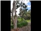 Lot 3 Piano Gully Road, Middlesex WA 6258