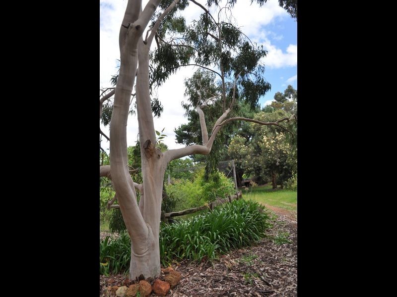 Lot 3 Piano Gully Road, Middlesex WA 6258