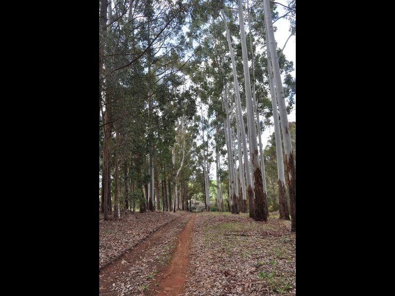 Lot 3 Piano Gully Road, Middlesex WA 6258