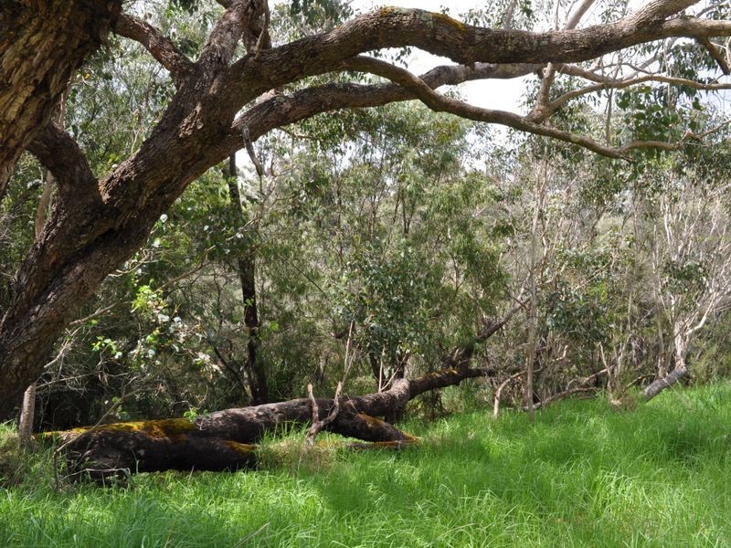 Lot 3 Piano Gully Road, Middlesex WA 6258