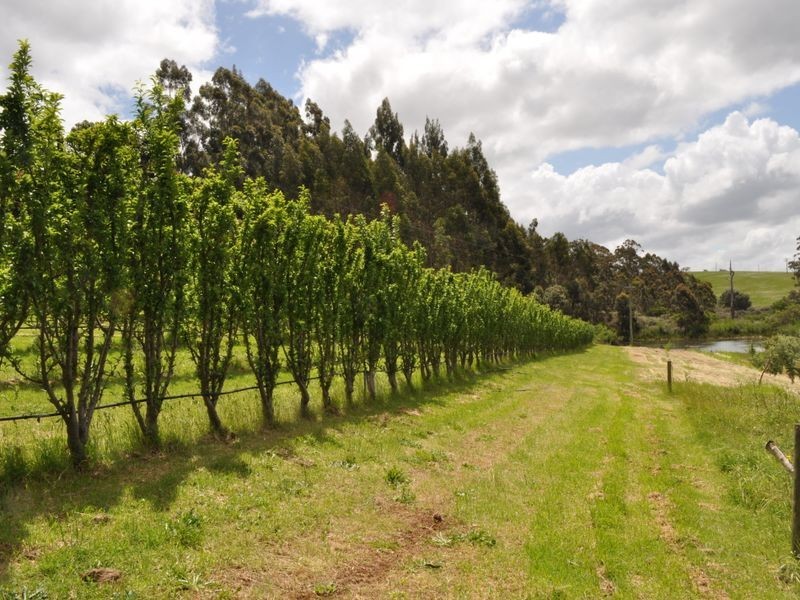 Lot 3 Piano Gully Road, Middlesex WA 6258