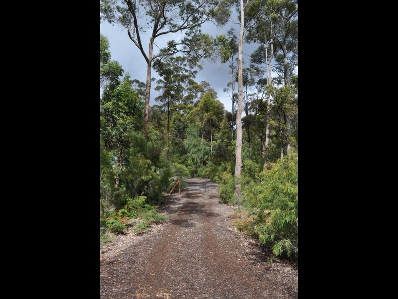 Lot 20 Karri Lane, Quinninup WA 6258